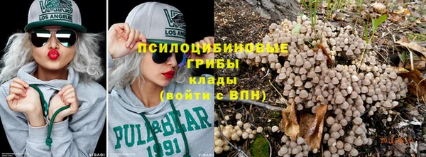 a pvp Белокуриха