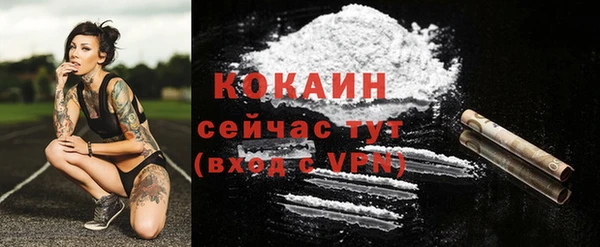 a pvp Белокуриха